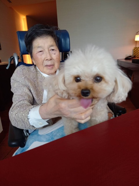 画像の説明