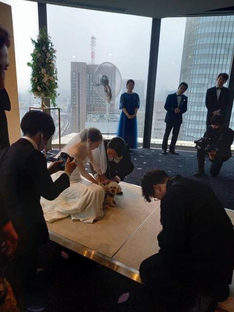 画像の説明