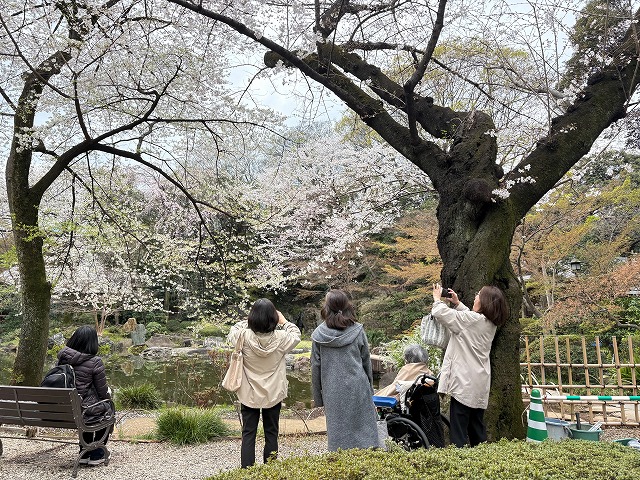 画像の説明