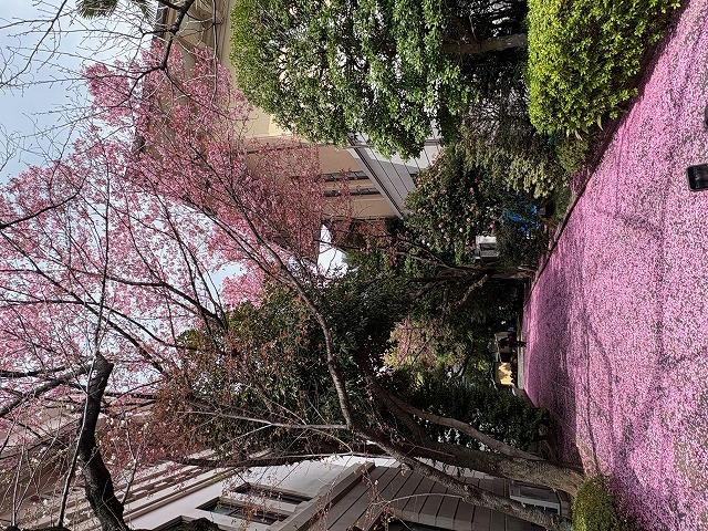 画像の説明