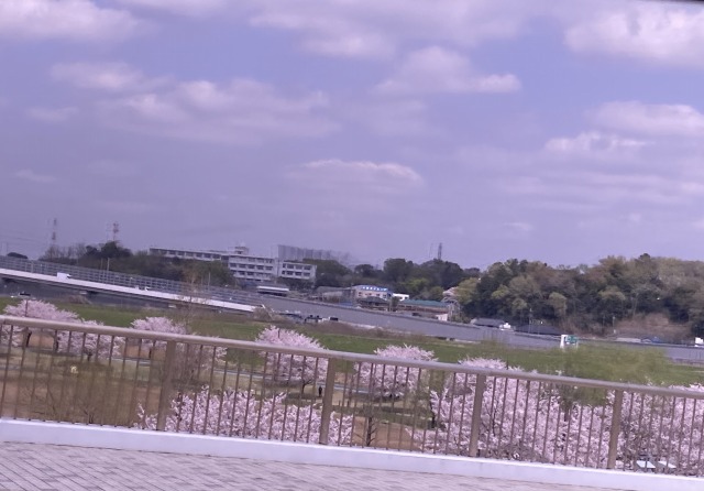 画像の説明