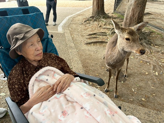 画像の説明