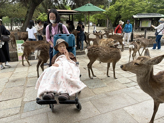 画像の説明
