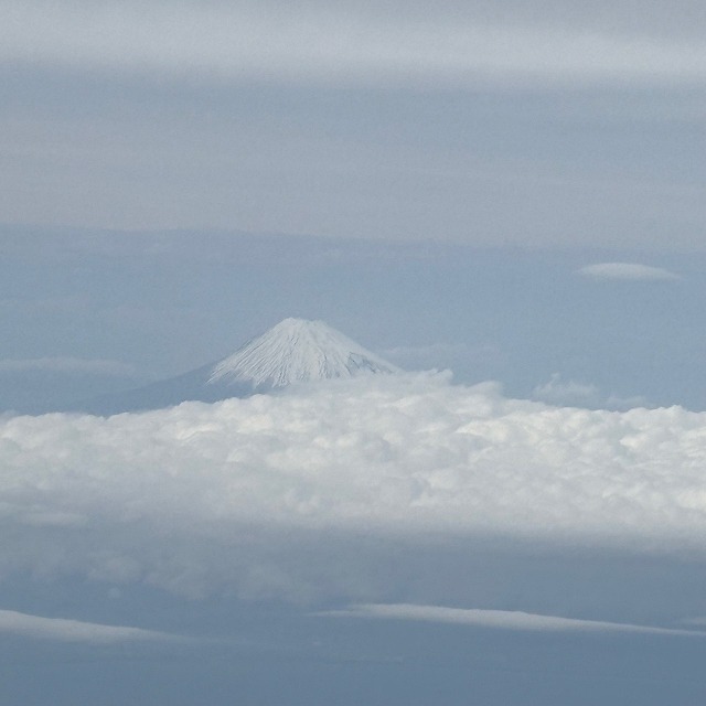 画像の説明 画像の説明