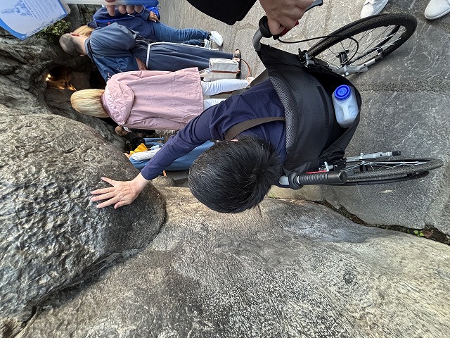 画像の説明