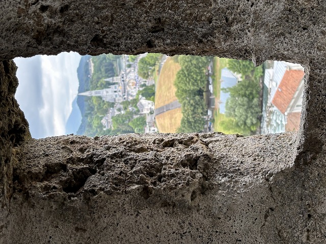画像の説明