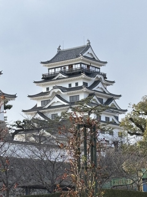 画像の説明