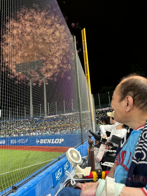 画像の説明