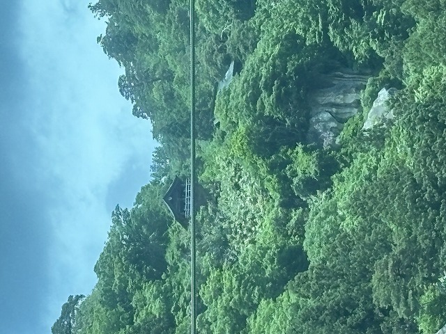 画像の説明 画像の説明